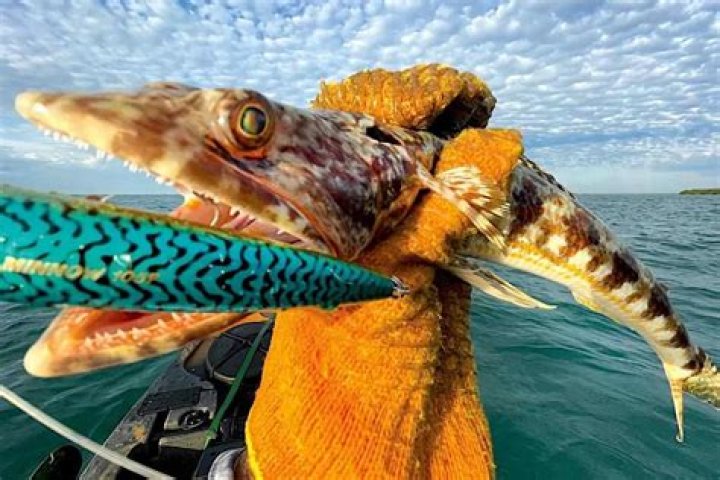Are all saltwater fish edible?