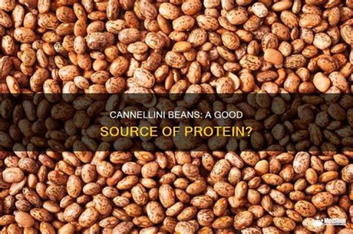 Are cannellini beans a good source of protein?