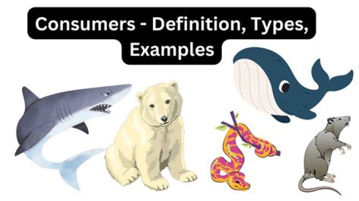 Are consumers manipulated?