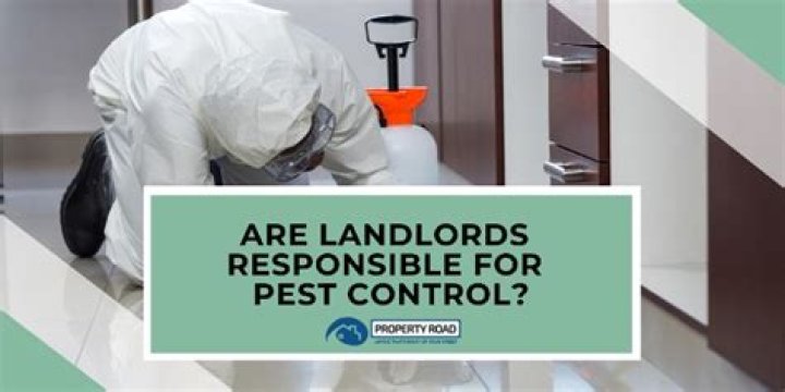 Are landlords responsible for pest control in UK?