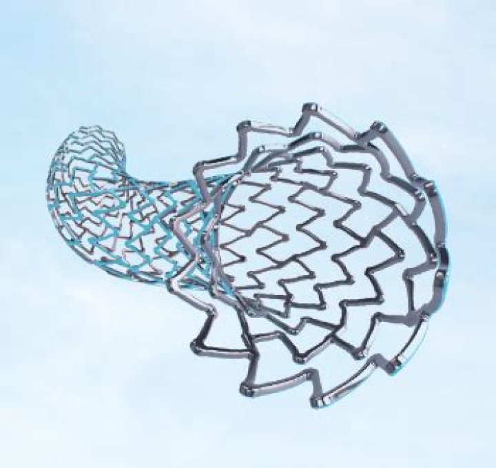 Are liver stents MRI safe?