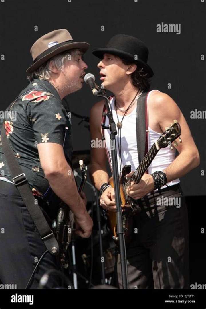 Are Pete Doherty and Carl Barat friends?