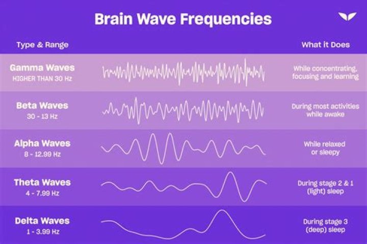 Are theta waves good for dogs?