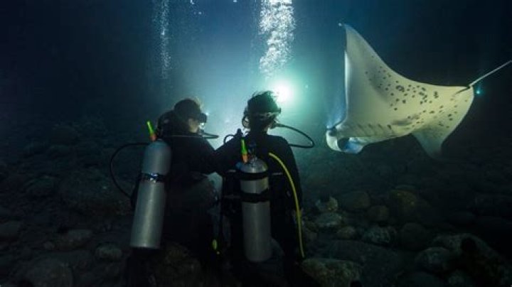 Can divers dive at night?