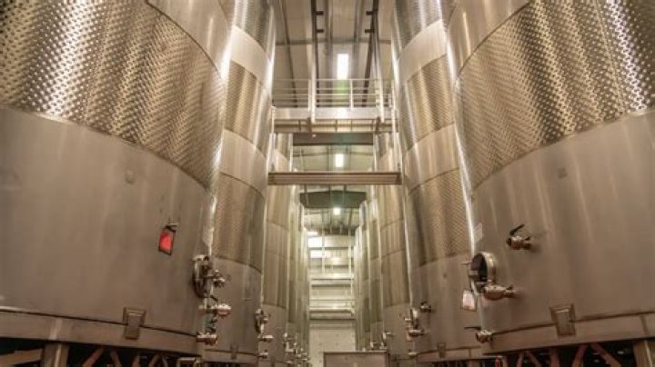 Can you ferment wine in stainless steel?
