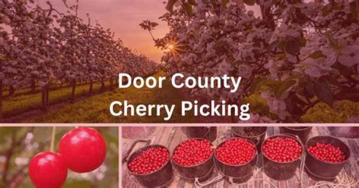 Can you pick cherries in orange?