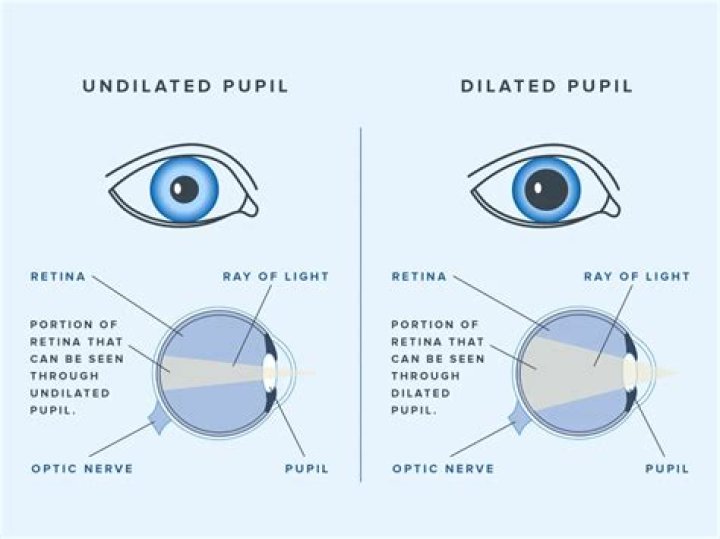 Do dilated pupils mean love?