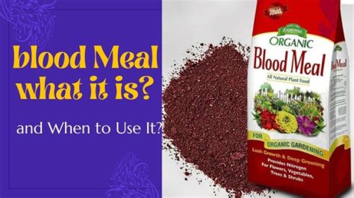 Does blood meal lower soil pH?