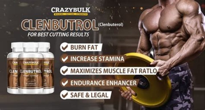 Does Clenbuterol work for fat loss?