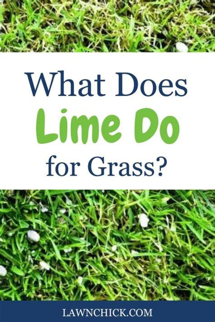 Does lime harm new grass seed?