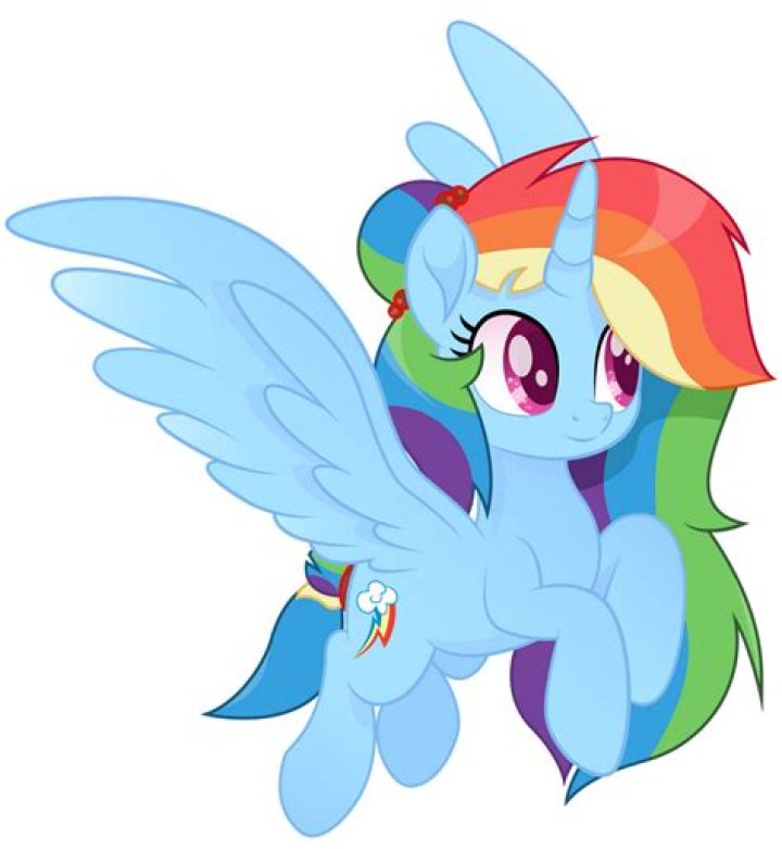 Does Rainbow Dash become a princess?