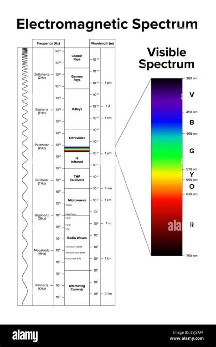 Does the electromagnetic spectrum include visible light?