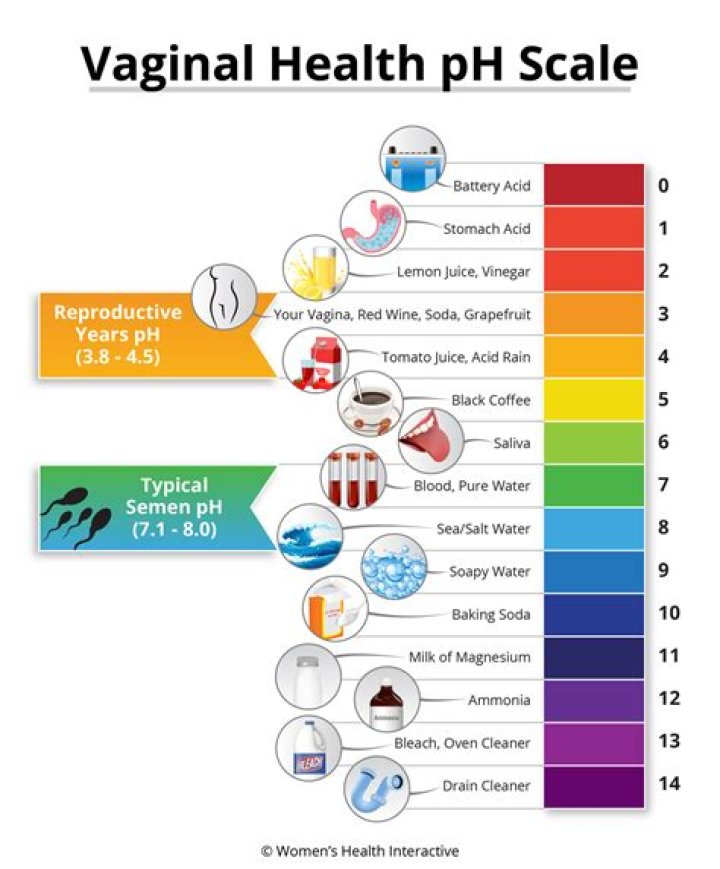 Does your pH level increase when pregnant?