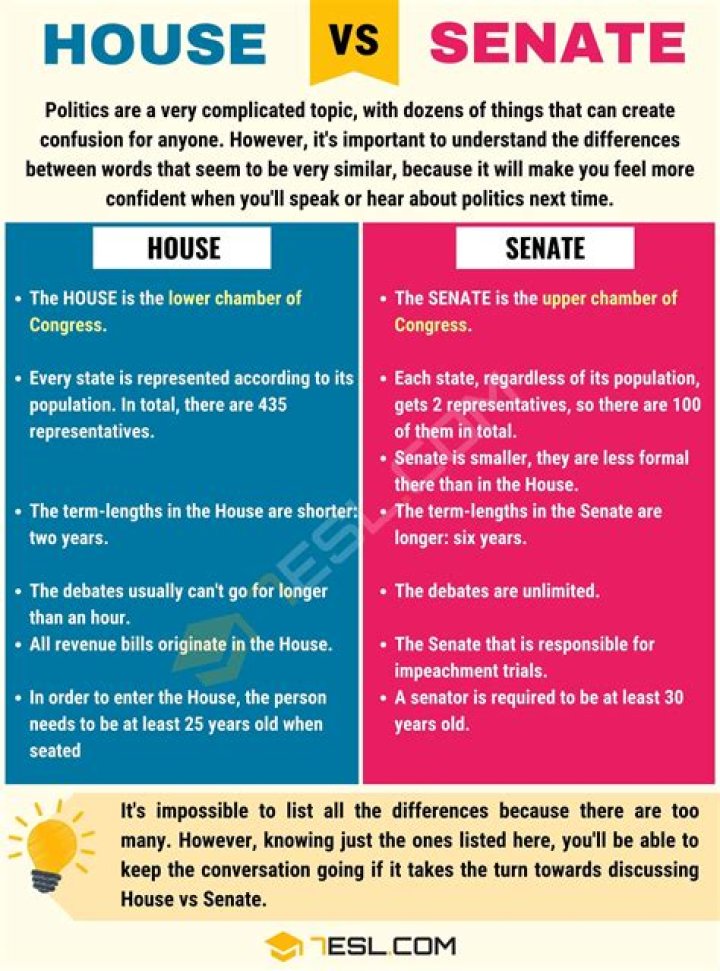 How are representatives determined for the Senate?