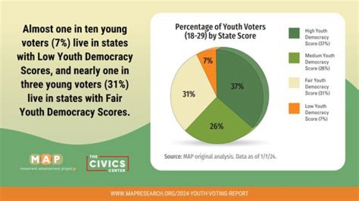 How are voters influenced?