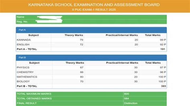 How can I get my PUC result?