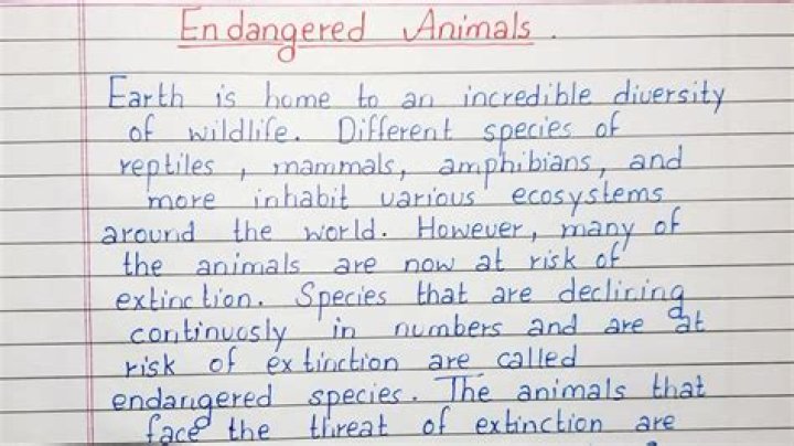 How can we protect endangered animals essay?