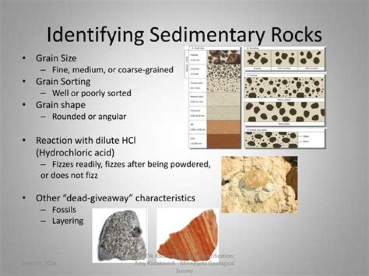 How can you identify a sedimentary rock?