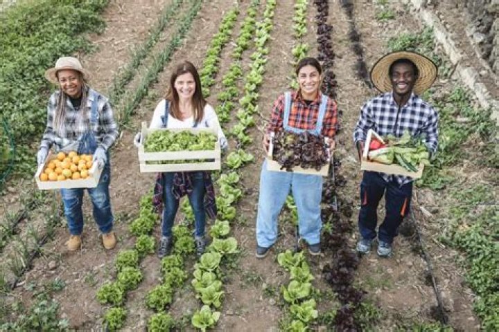 How do farmers get customers?