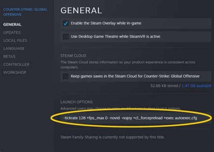 How do I add launch options to CS go?