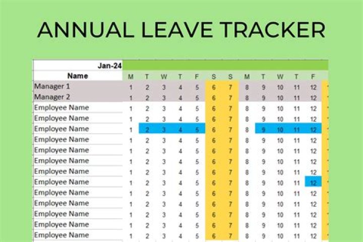 How do I check my leave days on Les?