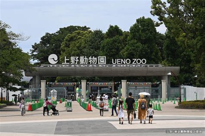 How do I get from Ueno Park to Ueno Zoo?