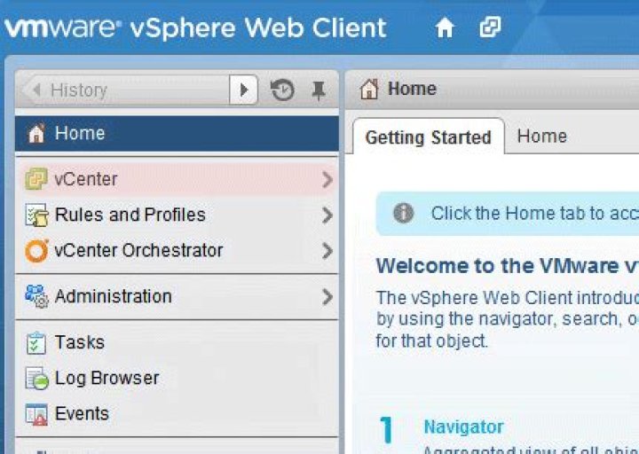 How do I grant access to the vSphere web client?