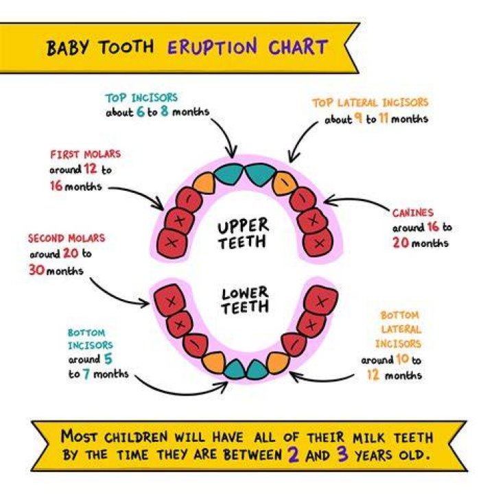 How do I know if my 6 week old is teething?