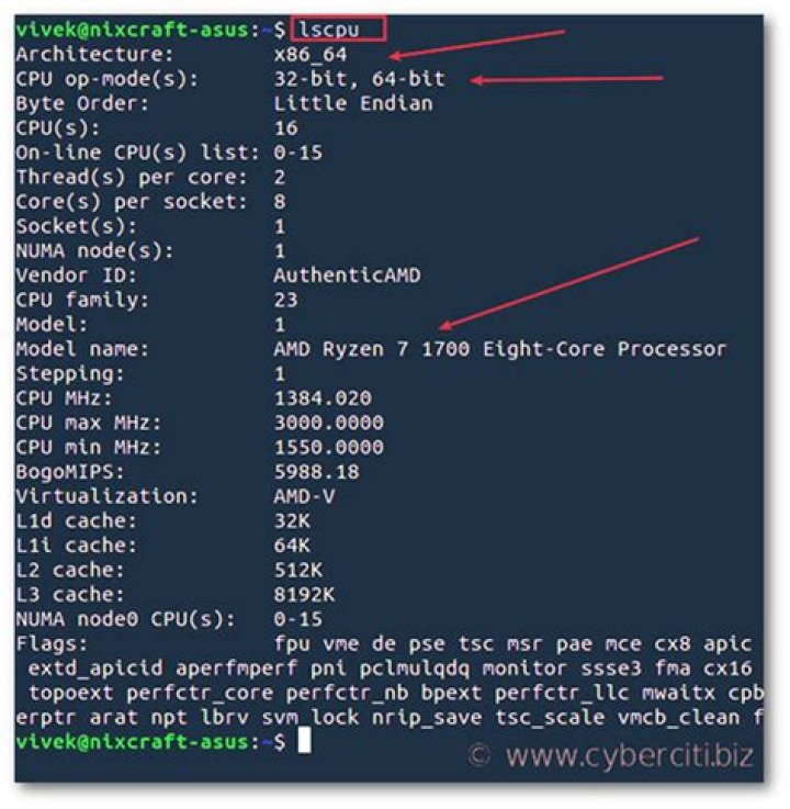 How do I know if my processor is 32 or 64 bit Linux?