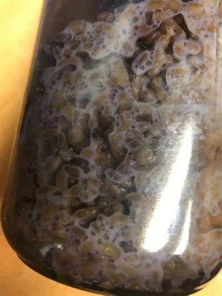 How do I know if mycelium is contaminated?