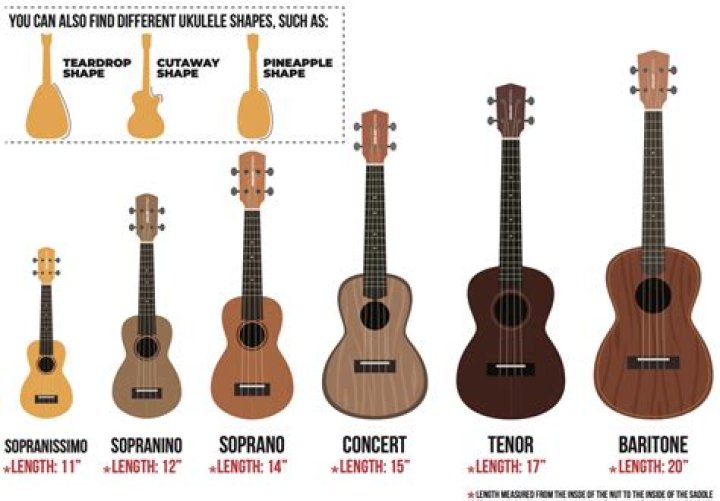 How do I know what size ukulele I need?