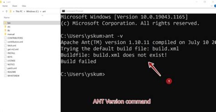 How do I run ant on Windows?