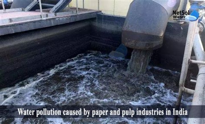 How do paper mills pollute the environment?