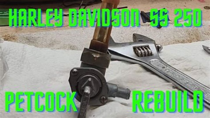 How do you change a Harley Davidson Petcock?