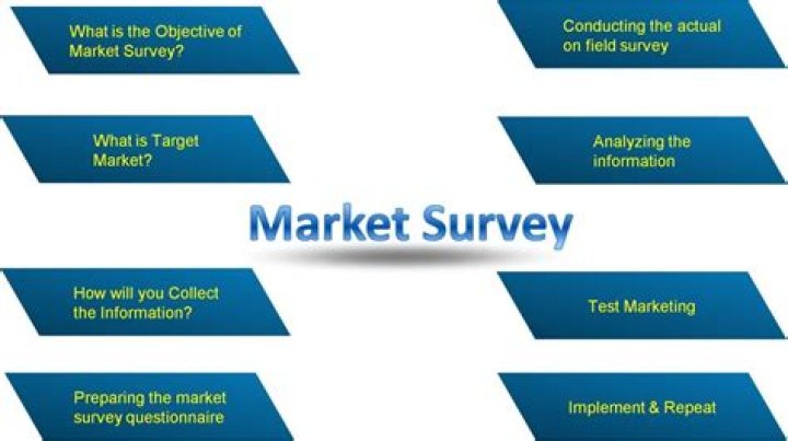 How do you conduct a market survey?