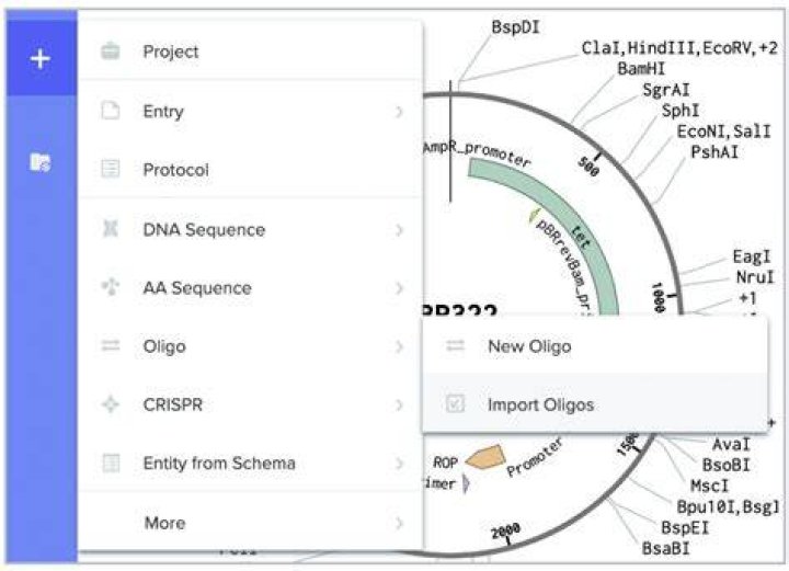 How do you design RNA in Benchling?