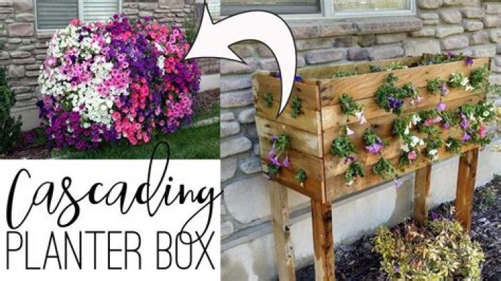 How do you display cascading plants?