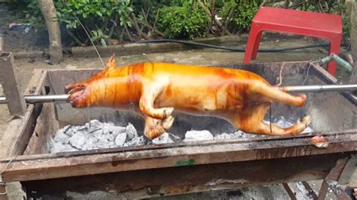 How do you pit a pig for BBQ?
