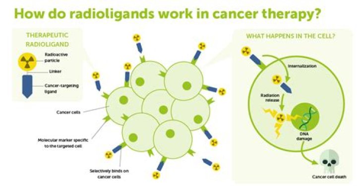 How does radioligand assay work?