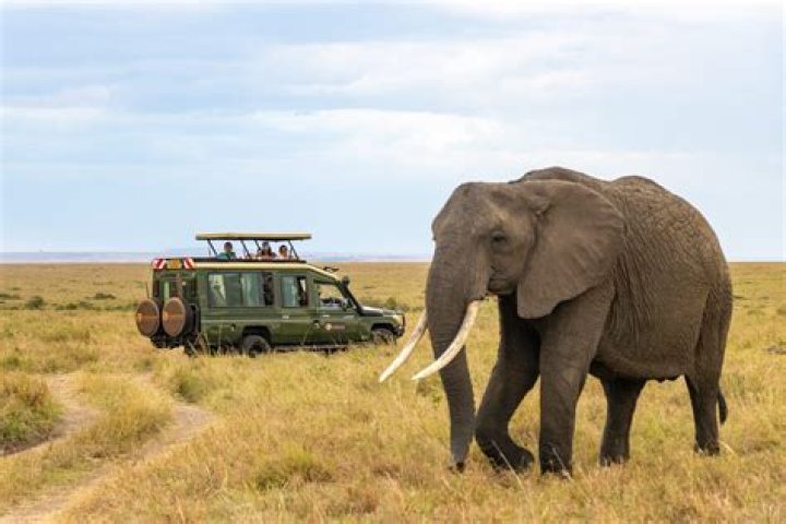 How expensive is a trip to Kenya?