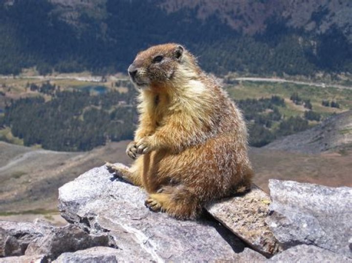 How hard is Marmotte?