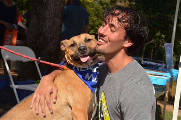 How many animals are at Best Friends Animal Sanctuary?