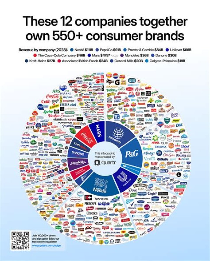 How many companies are under NASSCOM?