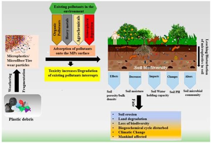 How many contaminated sites are there in Canada?