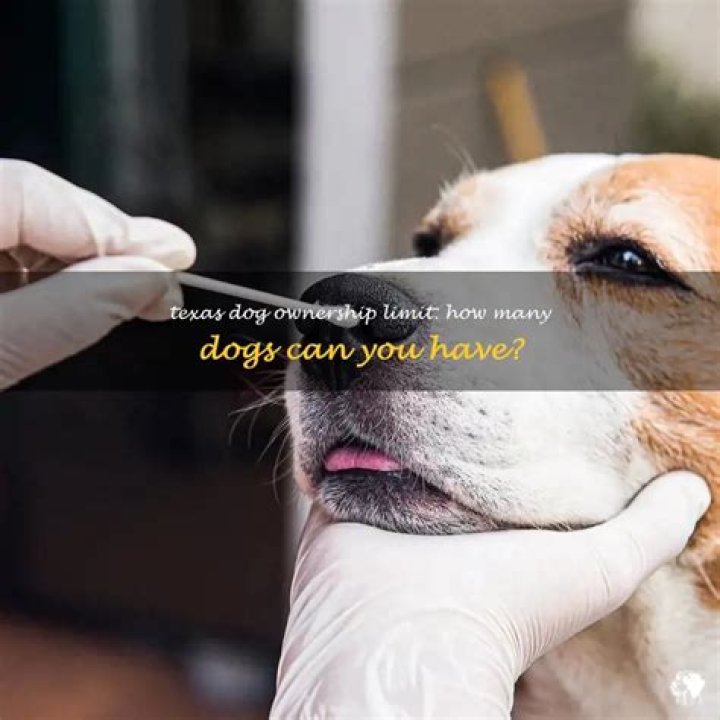 How many dogs can you have in Leander Texas?
