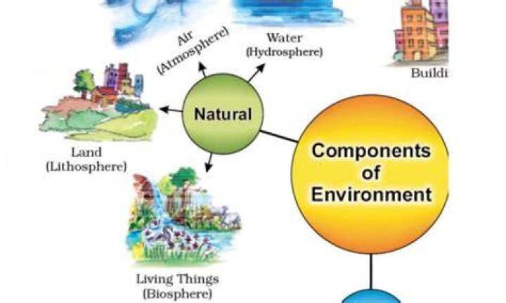 How many environment segments are there?