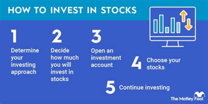 How much can you invest in NSI?