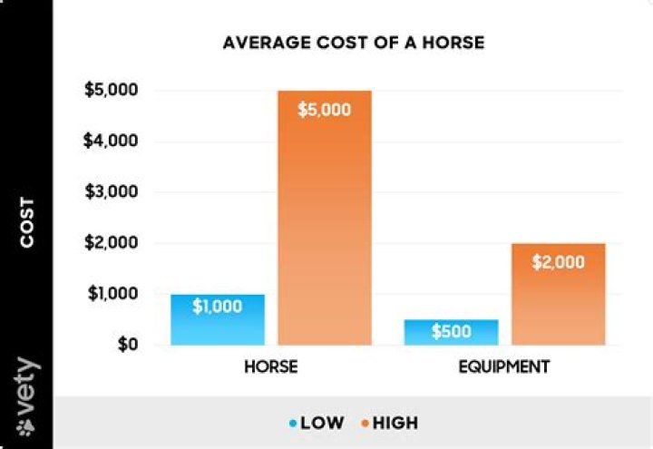 How much does a TN walking Horse cost?
