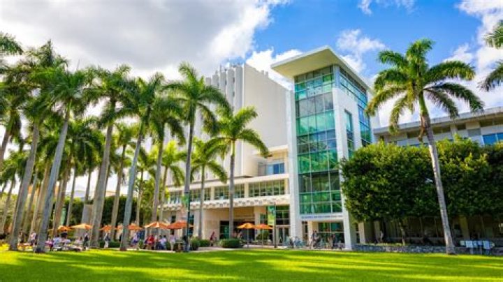How much does it cost to go to University of Miami for 4 years?