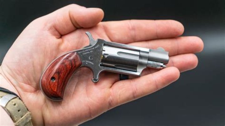 How much is a 22 Magnum Mini Revolver?
